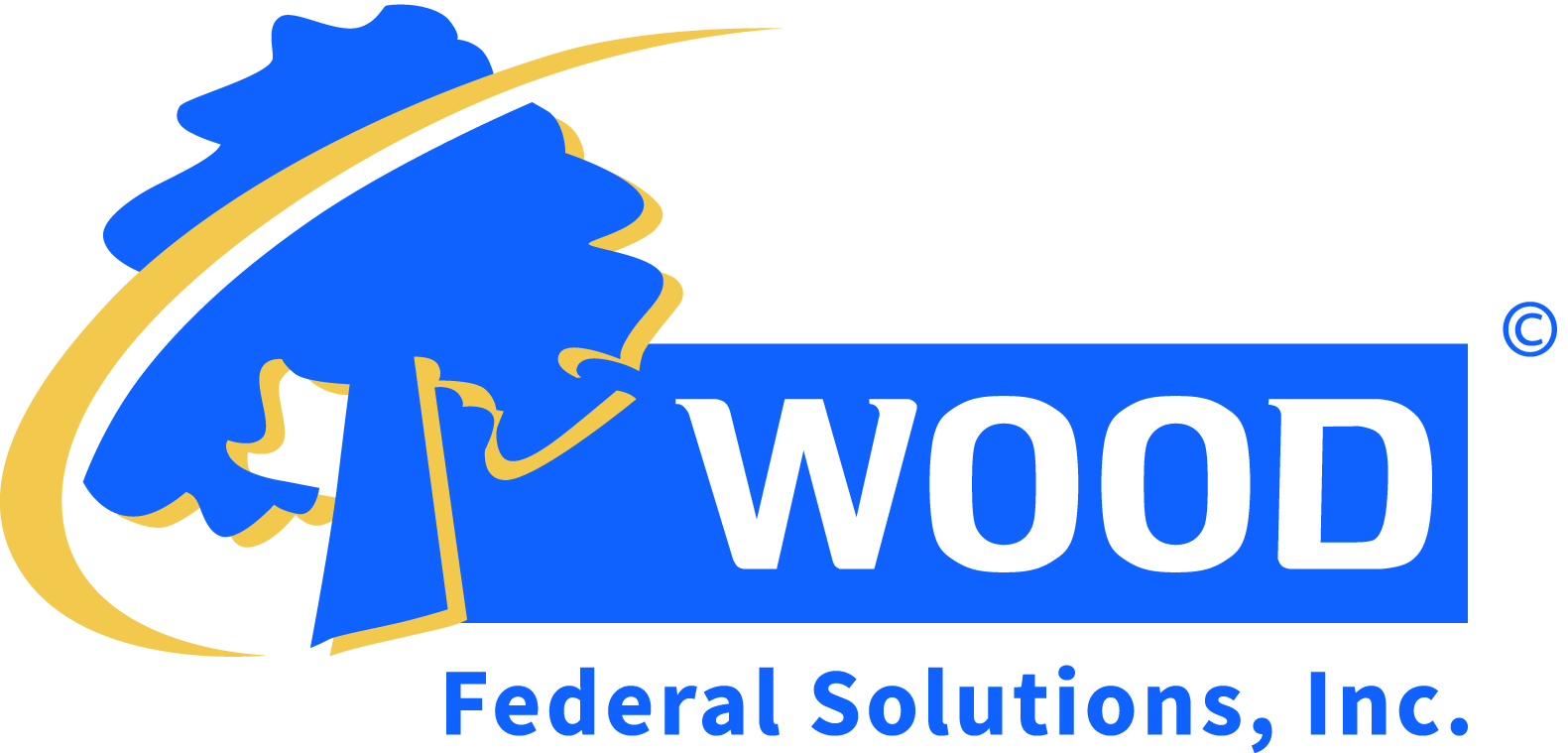 WOOD Federal Solutions